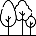 Line image of tree
